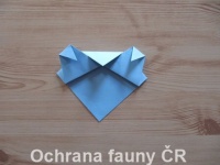 Origami Koala - otevt foto