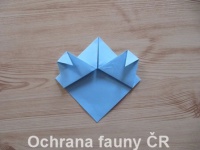 Origami Koala - otevt foto