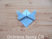 Origami Koala - otevt foto
